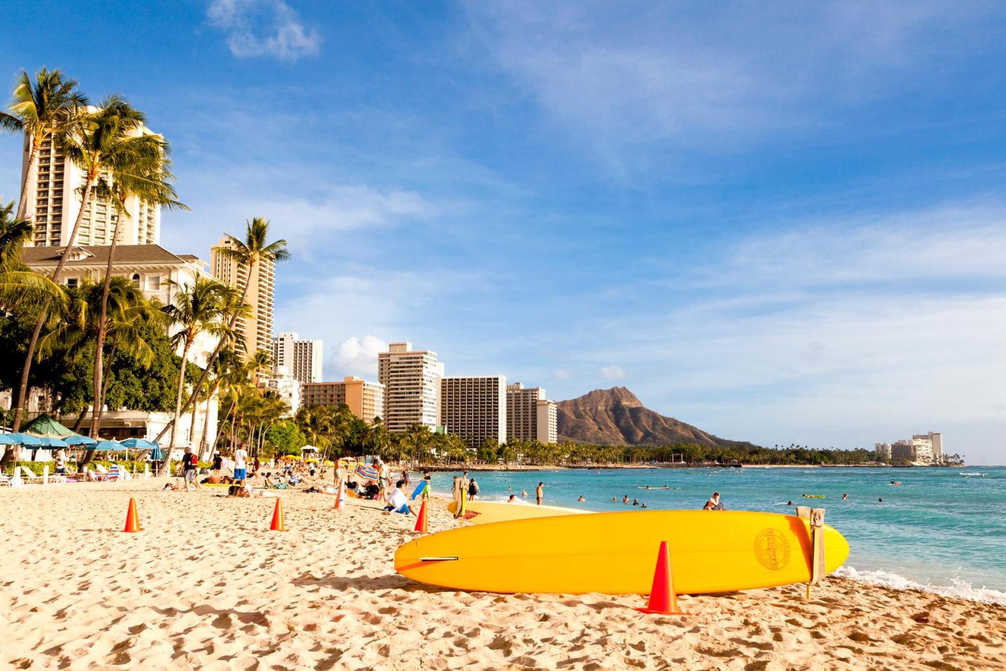 Mountain View Condo Near Beach With Free Parking! Honolulu Kültér fotó