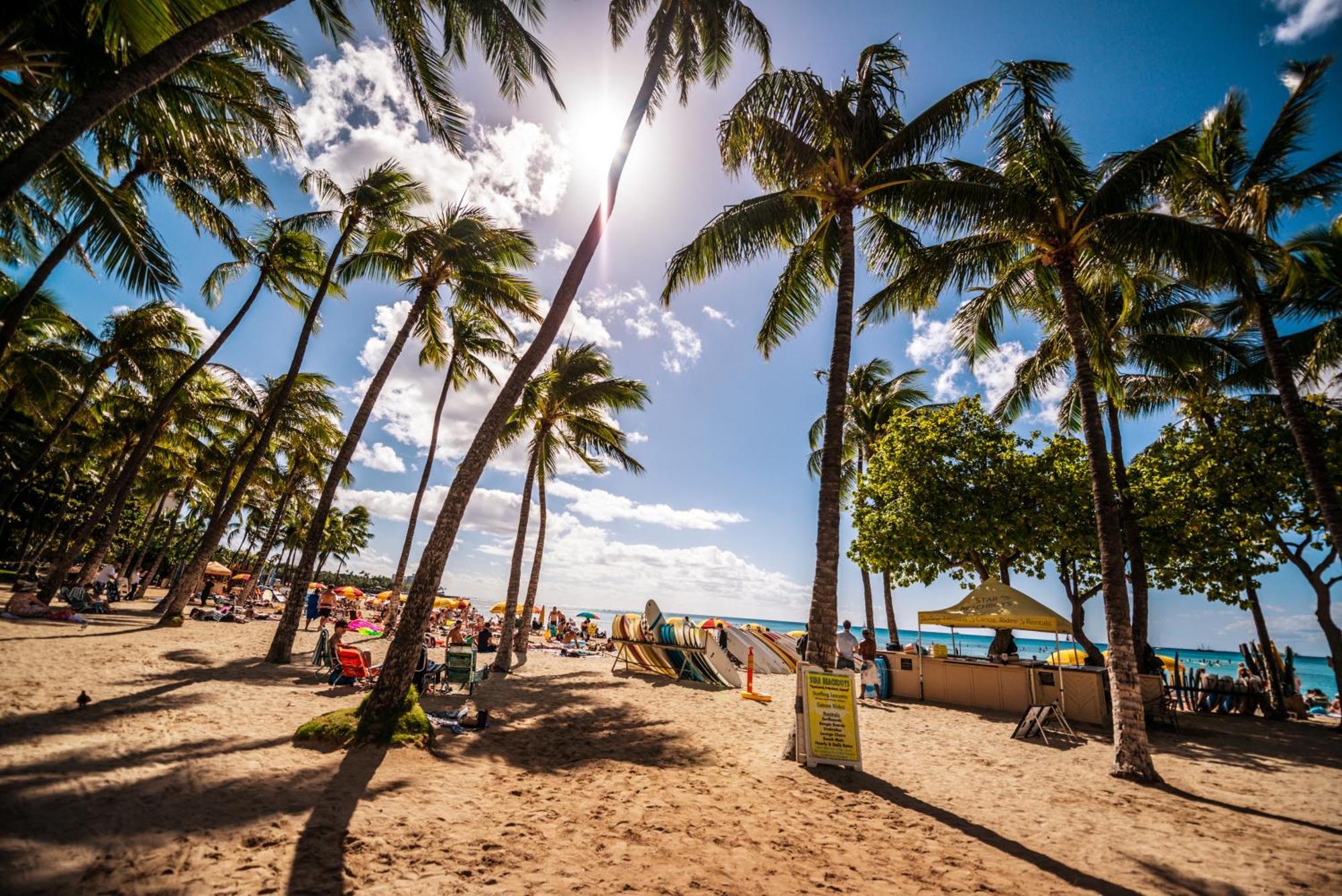 Mountain View Condo Near Beach With Free Parking! Honolulu Kültér fotó