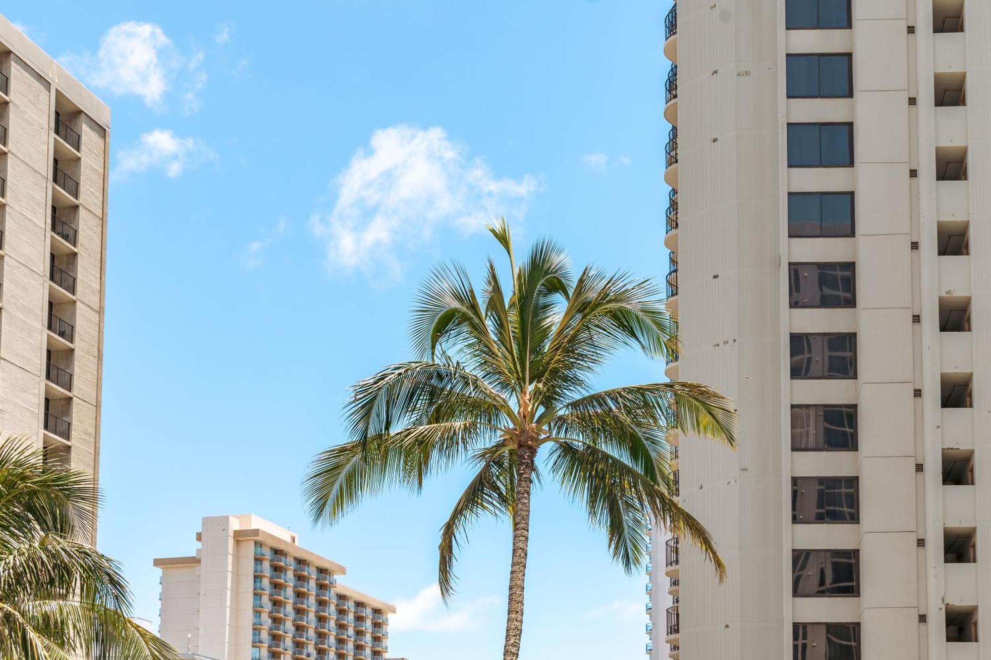 Mountain View Condo Near Beach With Free Parking! Honolulu Kültér fotó